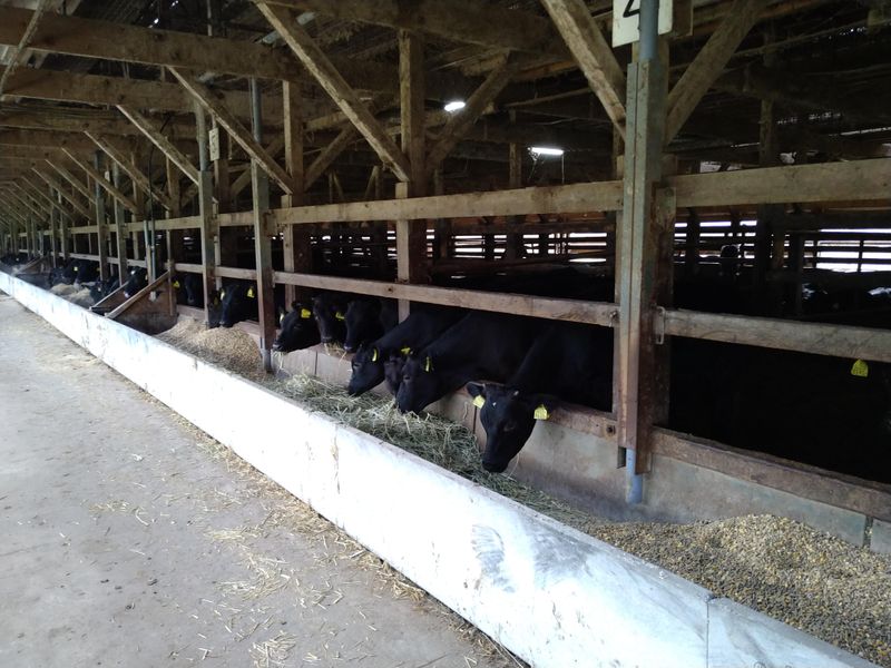 有限会社圓山畜産の求人・転職情報