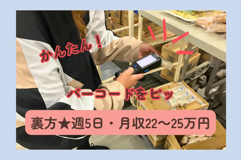 ネストライブBiz株式会社　鳥栖SL事業所(江島町)のアルバイト・バイト求人情報