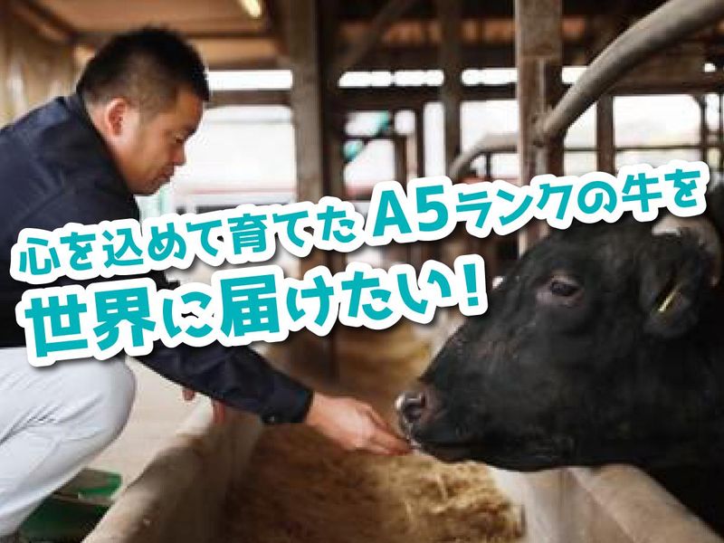 株式会社　下村畜産食肉の求人情報