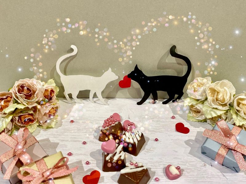 株式会社センチュリーアンドカンパニー/wtk25g95のアルバイト・バイト求人情報-14