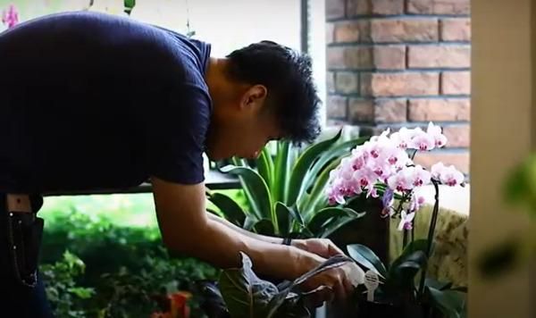 有限会社小山生花店の求人・転職情報