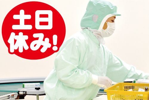 スターダスト株式会社の求人・転職情報