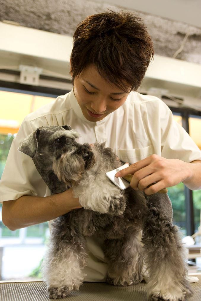 ペットのチャーリィー　茶屋町店のアルバイト・バイト求人情報-04