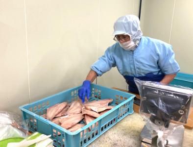 株式会社フロンティア 　水産事業部