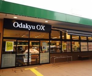 Odakyu OX cX