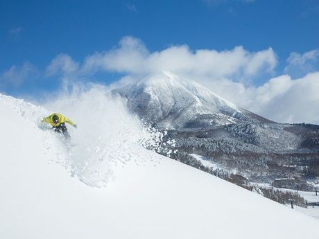 株式会社ヒューマニック