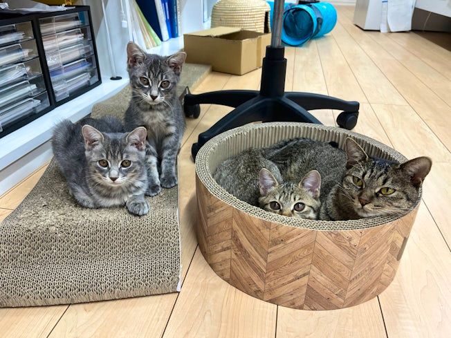 株式会社ホッケンのアルバイト・バイト求人情報-03