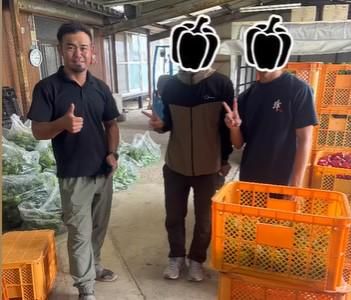 株式会社イニーファームの派遣求人情報