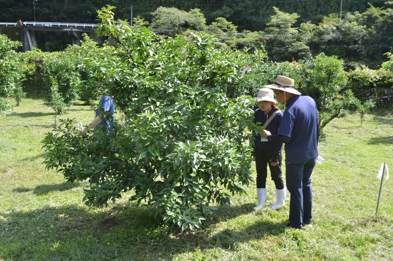 徳島県農業協同組合のアルバイト・バイト求人情報-03