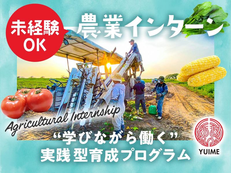 YUIME株式会社の求人・転職情報