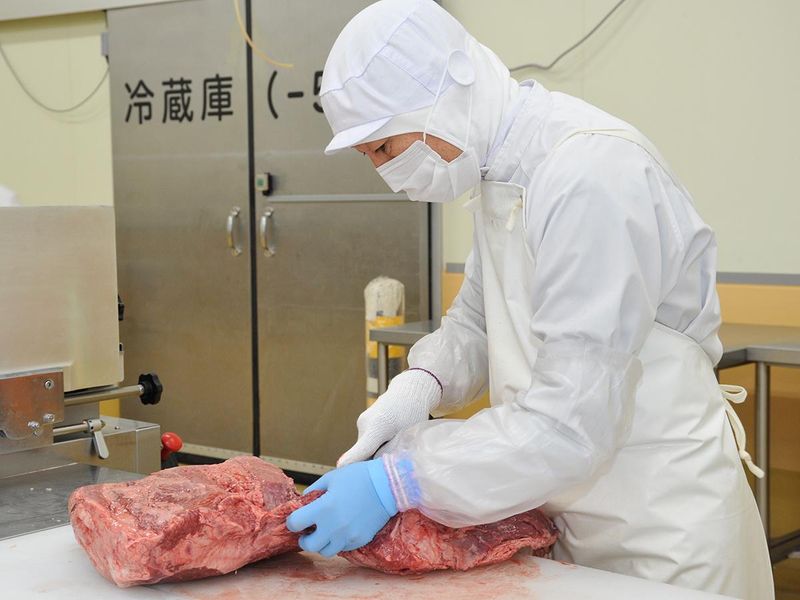 株式会社栄和の求人・転職情報