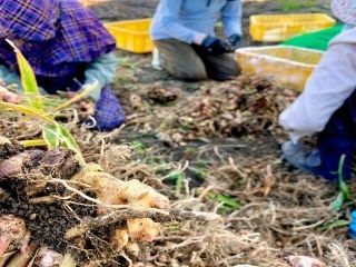 有限会社丸新柴本製茶の求人・転職情報