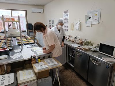宮城県 仙台市 太白区の配達の求人 | Indeed (インディード)