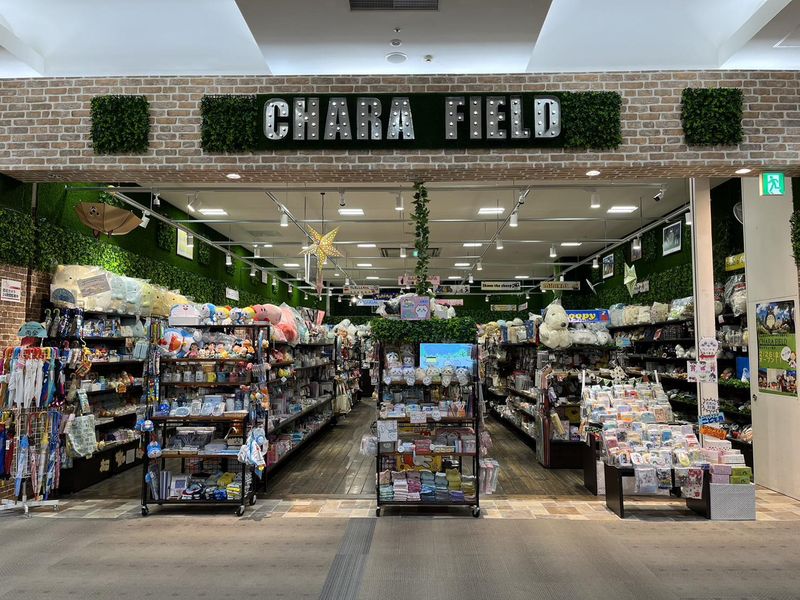 CHARA FIELD@CI[eX