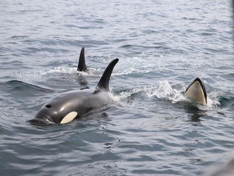 株式会社ヒューマニックのアルバイト・バイト求人情報-03