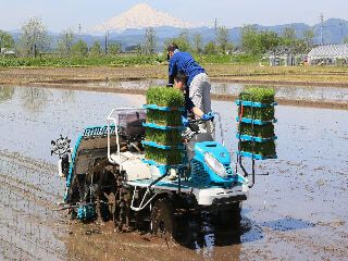 秋田銘釀株式会社の求人・転職情報