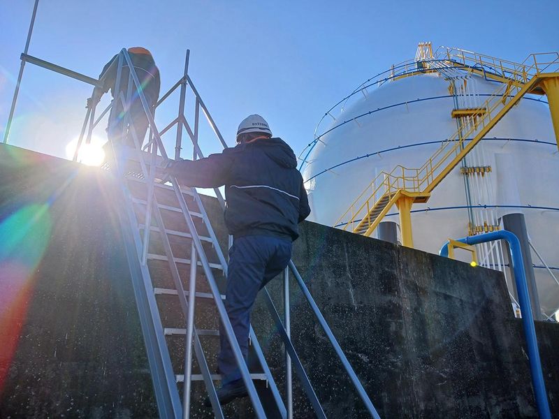 新太平洋商事株式会社の求人・転職情報