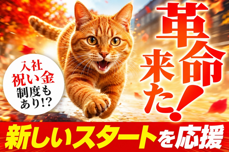 株式会社Ｎｅｗ　Ｓｅｎｓｅの求人・転職情報