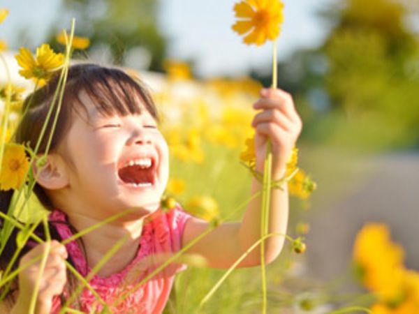 ふぇありぃ保育園 吉川園の求人・転職情報
