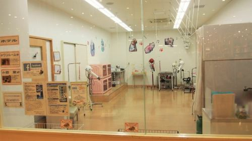 Pet Lifeトリミング アリオ鳳店のアルバイト・バイト求人情報-04