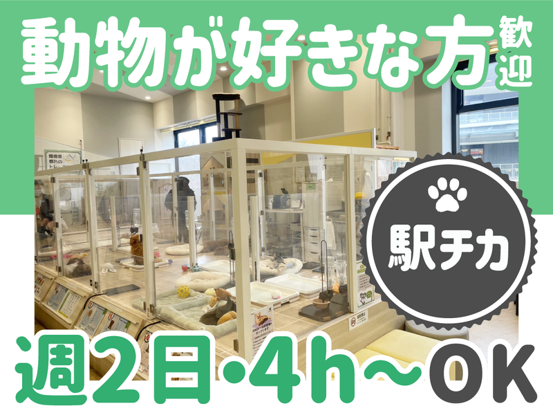 DOG&CAT JOKER 南町田グランベリーパーク店のアルバイト・バイト求人情報-02