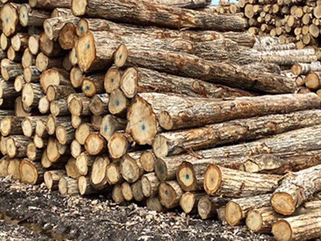 株式会社マルエス商行のアルバイト・バイト求人情報-02