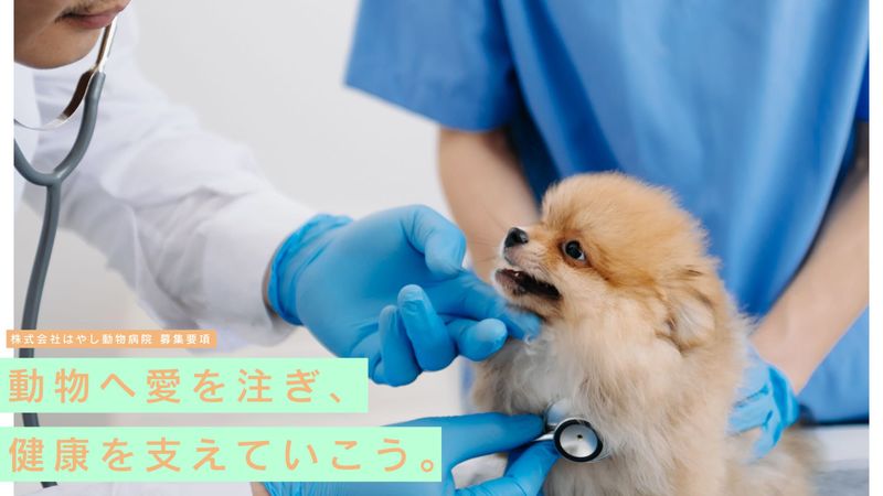 株式会社はやし動物病院の求人・転職情報