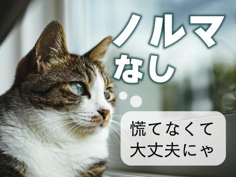 株式会社ホットスタッフ福山(189)のアルバイト・バイト求人情報-04