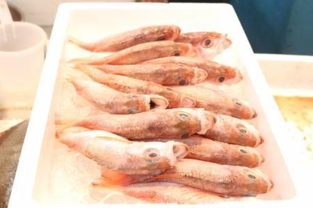 柳橋中央市場内のアルバイト・バイト求人情報-02