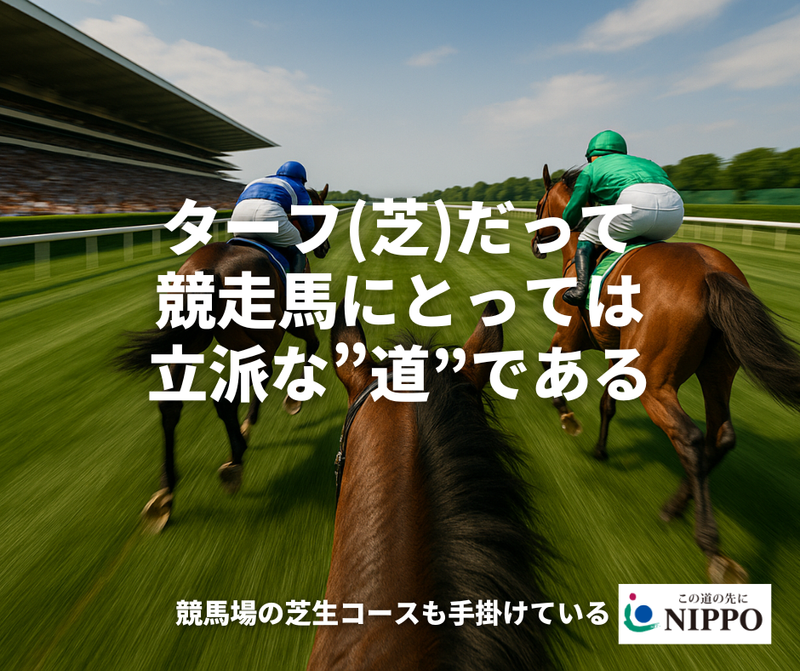 株式会社NIPPO　の求人・転職情報