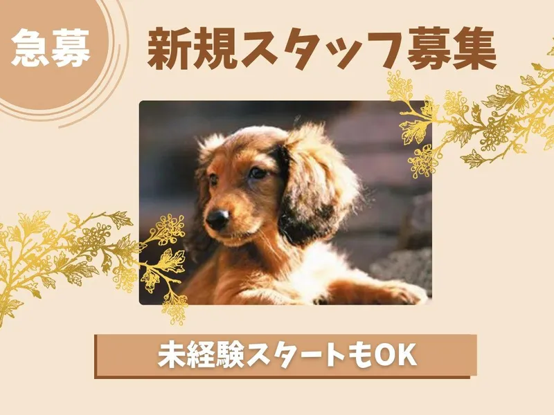 Dog’s Rest Placeのアルバイト・バイト求人情報