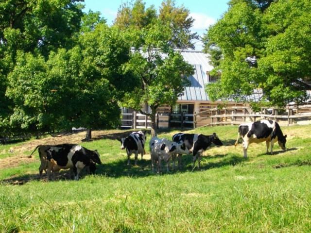 ホーメックス株式会社の求人・転職情報