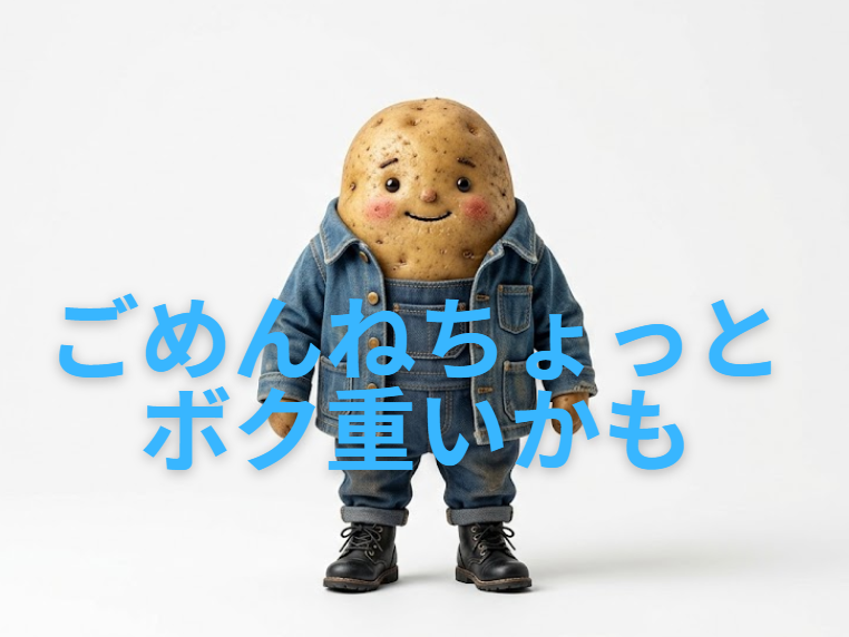 株式会社　木田商店