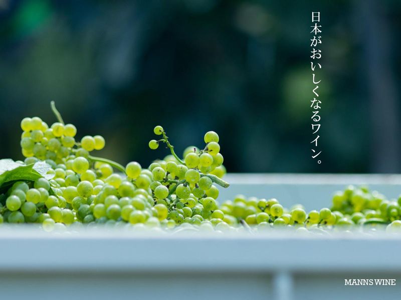マンズワイン株式会社