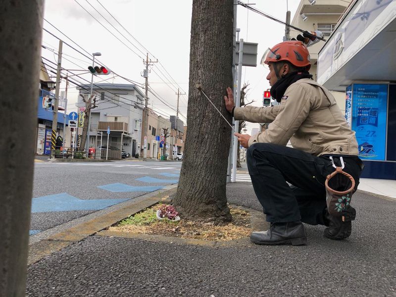 吉田樹木医合同会社のアルバイト・バイト求人情報-02