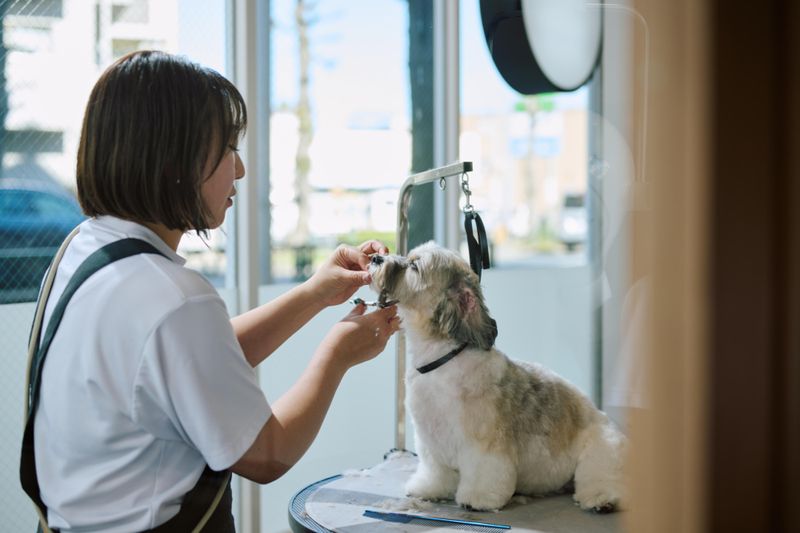 株式会社バンブーワークスの求人・転職情報