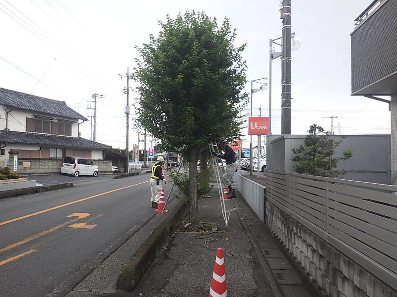 有限会社　小林造園のアルバイト・バイト求人情報-01