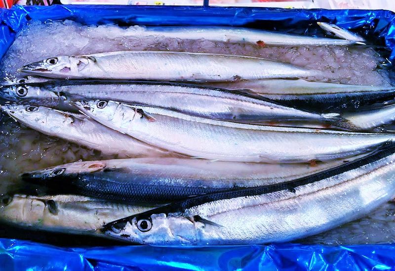 株式会社　システム企画(小田原魚市場内)のアルバイト・バイト求人情報-13