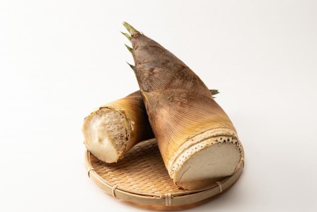 北九古賀jobinformation