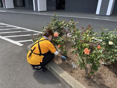 グリーンスタッフサービス株式会社　東京営業所のアルバイト・バイト求人情報-02