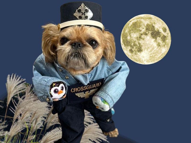 クロスガード株式会社のアルバイト・バイト求人情報-07