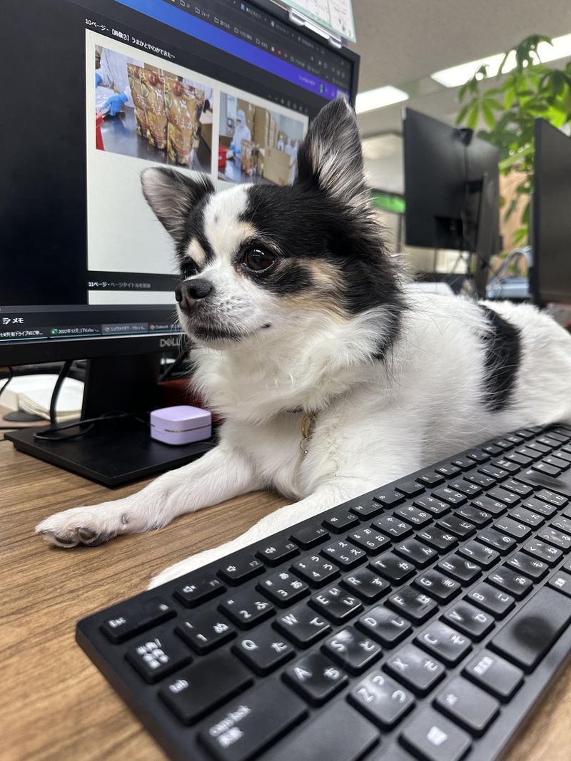 トリゼンダイニング株式会社の求人・転職情報