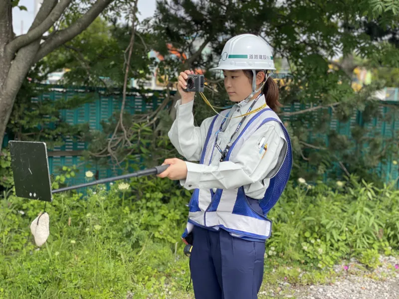 道路建設株式会社