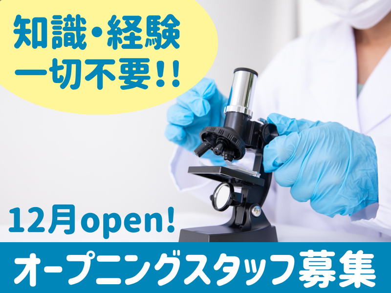 株式会社こもれびの求人・転職情報