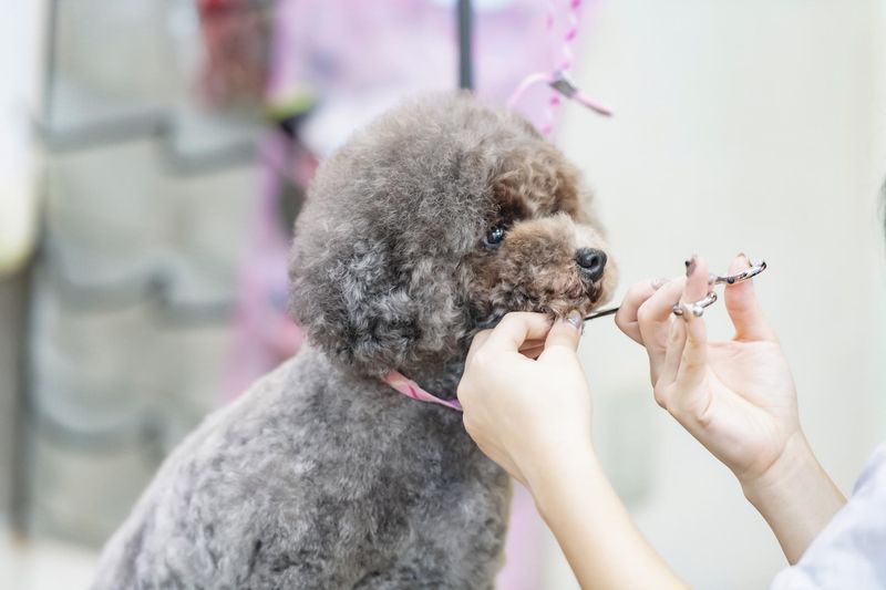 株式会社サムＡＨパートナーズ-0002の求人・転職情報