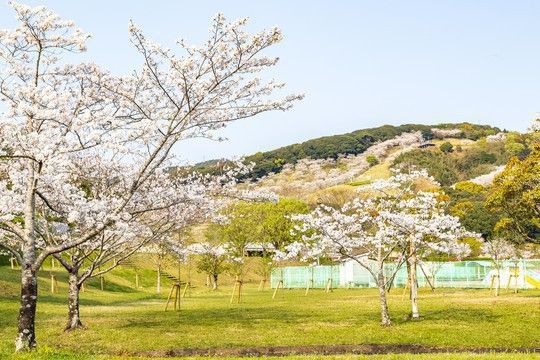 都城ぼんち地域振興株式会社の求人・転職情報