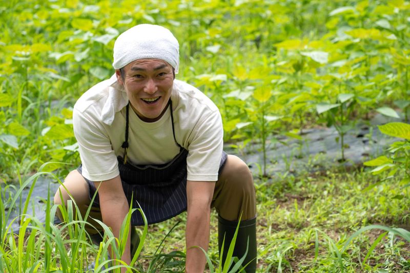 株式会社峯尾造庭園の求人・転職情報