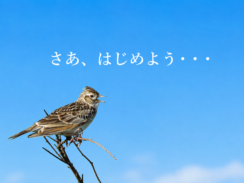 セントケア中部株式会社の求人・転職情報