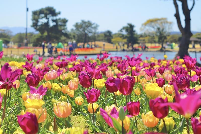 海の中道海浜公園のアルバイト・バイト求人情報-04