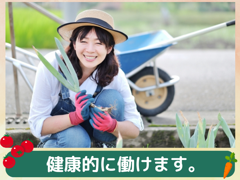 NDSソリューション株式会社　VEGESOL.やとみのアルバイト・バイト求人情報-05